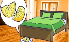 Ajoutez du sel à un citron et placez le près de votre lit
