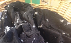 Mouchoir oublié dans la machine à laver : comment enlever les résidus sur les vêtements