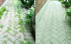 Plus besoin d’acheter de désherbant chimique ! Utilisez plutôt ce désherbant 100% naturel 