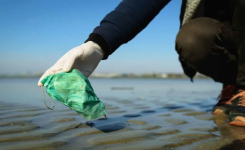Des écologistes sont fatigués de ramasser gants et masques jetables sur les plages