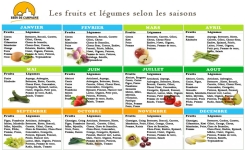 Calendrier pratique des fruits et légumes de saison