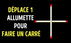 Casse-tête : 10 Enigmes que seuls les génies peuvent résoudre en 15 secondes