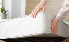 Punaises de lit : mettez cet objet sous votre matelas tous les soirs pour les éloigner !