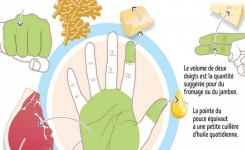 Les portions que tu devrais manger sont dans tes mains 