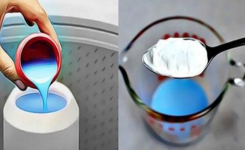 Astuce Naturelle pour une Maison Toujours Parfumée et Fraîche