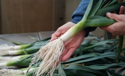 Recette pour normaliser le taux de sucre sans médicament et sans aucun effort