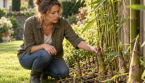 Le bambou du voisin envahit votre jardin : comment stopper sa progression ?