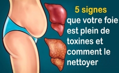5 signes que votre foie est plein de toxines et comment le nettoyer
