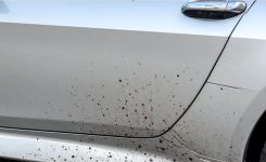  Comment enlever facilement du goudron sur une carrosserie ?