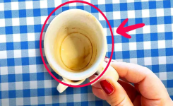 Comment enlever facilement la tache de café incrustée dans les tasses ?