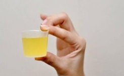 On vous dit que l'eau de citron le matin est bonne pour la santé. Voici ce que l'on ne vous dit pas.
