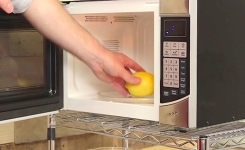 Elle met un citron au micro-ondes pendant 20 secondes