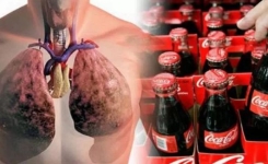 Mise en garde contre La Maladie du Soda : un mal silencieux et ravageur