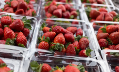 Comment reconnaître de bonnes fraises ? Le détail que tout le monde oublie
