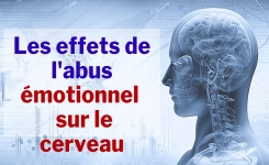 Quels sont les effets de l'abus émotionnel sur le cerveau et l'organisme?