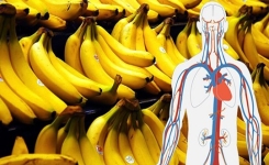 Les bananes peuvent être un puissant allié pour notre bien-être