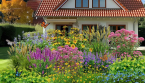 Ces 5 vivaces sont à planter en septembre pour un jardin éclatant l'année suivante
