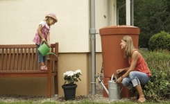 5 trucs simples pour économiser l’eau dans votre jardin