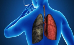 7 astuces pour donner un nouveau souffle à vos poumons