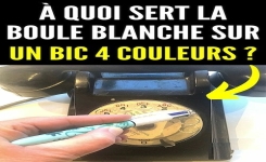 À Quoi Sert La Boule Sur le Stylo 4 Couleurs ?