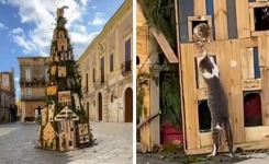 Une bande de félins réquisitionne le sapin de Noël de sa ville pour en faire son arbre à chat ! (Vidéo)