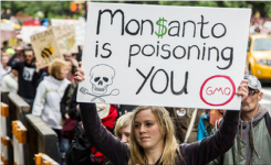 Vous Souhaitez Éviter les Produits Monsanto ? Voici La Liste des Marques à Connaître
