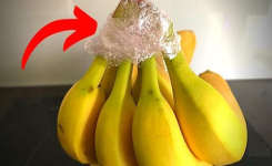 4 Astuces Magiques Pour Conserver les Bananes 3 Fois Plus Longtemps