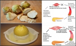 Comment faire pour contrôler le diabète en utilisant seulement 2 Ingrédients