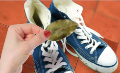 Pourquoi mettre des feuilles de laurier dans les chaussures