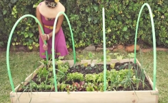 Comment construire sa propre mini-serre de jardin (DIY)