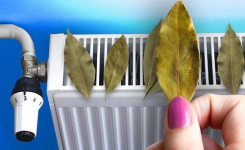 Pourquoi mettre des feuilles de laurier sur le radiateur ? L’astuce pour faire économies cet hiver