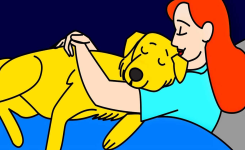 - 5 façons par lesquelles votre chien vous déclare son amour