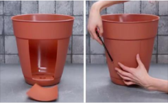 Elle coupe des rectangles dans un pot à fleurs en plastique! Son astuce jardinage est tellement brillante! 