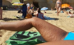  Cette femme va se baigner à la plage, en sortant de l'eau, c'est la panique pour les gens autour d'elle