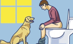 Si votre chien vous suit aux toilettes, ne l'ignorez pas: voici ce qu'il essaie de vous dire