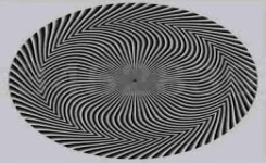 Quel chiffre voyez-vous dans cette illusion d’optique ? 