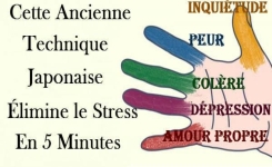 Technique japonaise pour éliminer le stress, la dépression et la nervosité en 5 MINUTES!