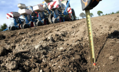 Bien planter pour mieux récolter : les profondeurs idéales pour vos fruits et légumes