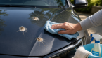  Comment enlever les fientes d'oiseaux sur une carrosserie sans l'abîmer ?