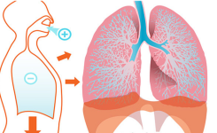 Comment S'endormir En Moins d'1 Minute Grâce à un Simple Exercice de Respiration