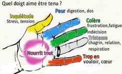 Faites cet exercice de 5 minutes avec vos mains pour stimuler l’énergie et équilibrer les émotions