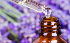 Fibromyalgie : 4 huiles essentielles anti-douleur, anti-fatigue et anti-insomnie