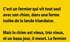 Blague : Un fermier qui vit tout seul avec son chien…