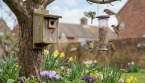 Pourquoi certains jardins attirent-ils beaucoup plus d'oiseaux que d'autres ?