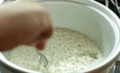 Les scientifiques nous avertissent que notre façon de cuisiner le riz est nocive pour notre santé !