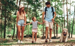 Cette activité simple, idéale le week-end, rend plus intelligent selon une étude de Stanford