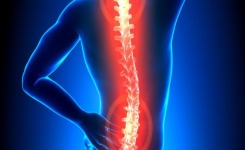 La vraie cause de la douleur : voici comment la colonne vertébrale est connectée aux organes internes