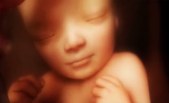 9 mois de grossesse en 4 minutes : voilà la vidéo qui illustre le miracle de la vie
