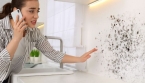 Moisissures dans un logement : nettoyage, responsabilités… ce que dit la loi