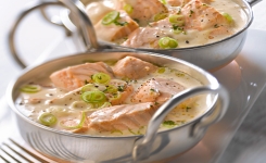 Recette facile et gourmande : La blanquette de saumon !